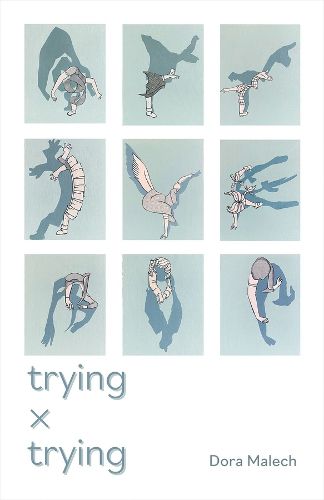 Cover image for Trying x Trying