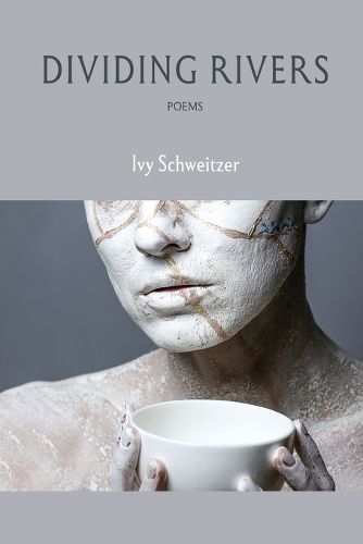 Cover image for Dividing Rivers