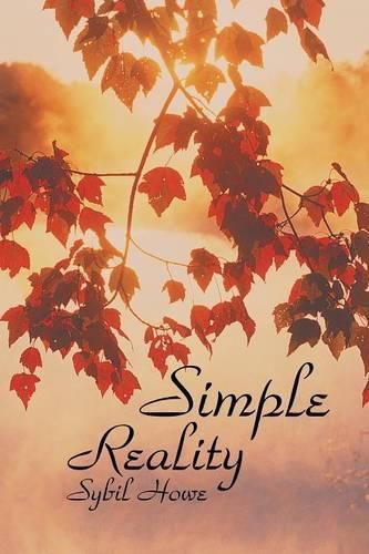 Cover image for Simple Reality