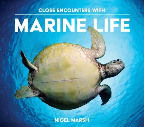 Cover image for Close Encounters with Marine Life