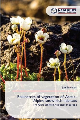 Cover image for Pollinators of vegetation of Arctic-Alpine snow-rich habitats