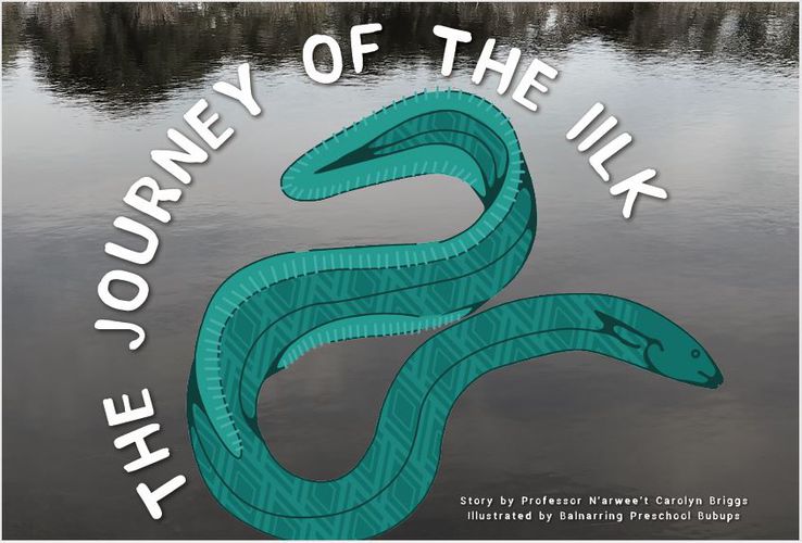Cover image for Journey of the Iilk