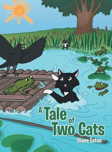 Cover image for A Tale of Two Cats