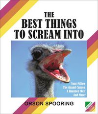 Cover image for The Best Things to Scream Into