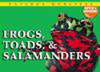 Cover image for Frogs, Toads, & Salamanders