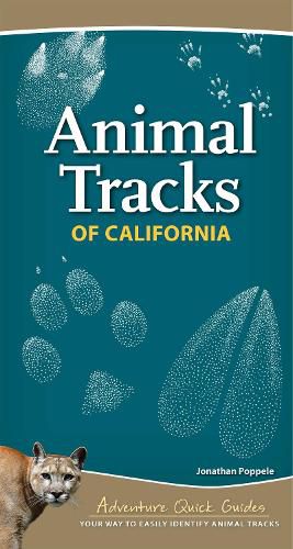 Cover image for Animal Tracks of California: Your Way to Easily Identify Animal Tracks