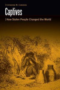 Cover image for Captives: How Stolen People Changed the World