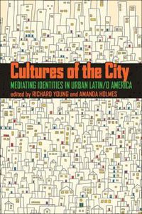 Cover image for Cultures of the City