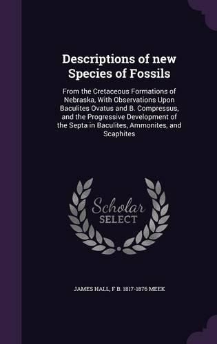 Cover image for Descriptions of New Species of Fossils: From the Cretaceous Formations of Nebraska, with Observations Upon Baculites Ovatus and B. Compressus, and the Progressive Development of the Septa in Baculites, Ammonites, and Scaphites