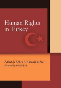 Cover image for Human Rights in Turkey