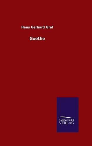 Cover image for Goethe