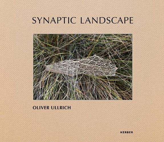 Cover image for Synaptic Landscape: Oliver Ullrich