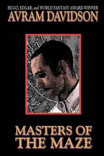 Cover image for Masters of the Maze