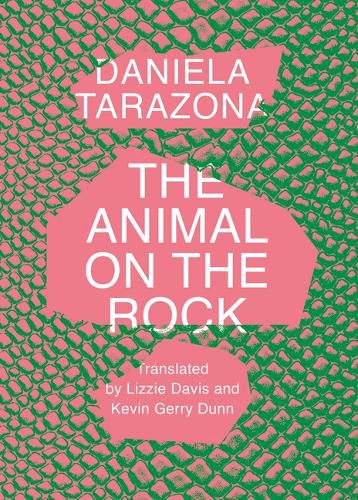 Cover image for The Animal on the Rock