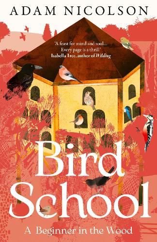 Cover image for Bird School