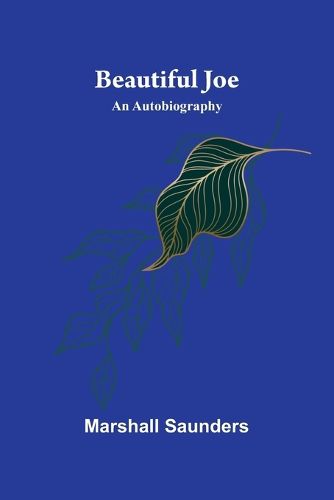 Cover image for Young Medicine Man (Edition1)