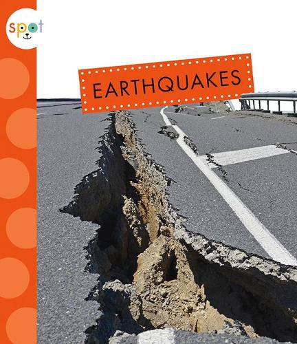 Cover image for Earthquakes