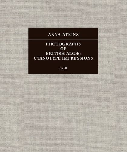 Cover image for Anna Atkins: Photographs of British Algae: Cyanotype Impressions (Sir John Herschel's Copy)