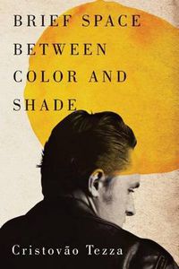 Cover image for Brief Space Between Color and Shade