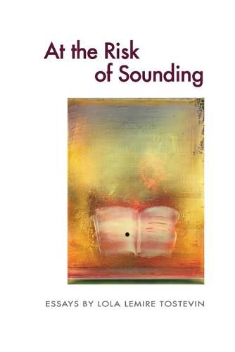 Cover image for At the Risk of Sounding: Essays