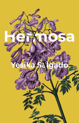 Cover image for Hermosa