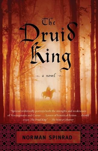 Cover image for The Druid King