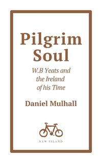 Cover image for Pilgrim Soul