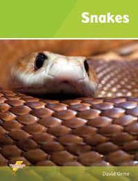 Cover image for Snakes: Set 1