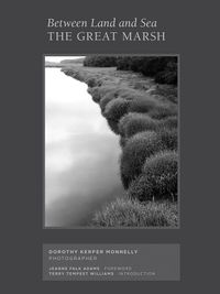 Cover image for Between Land and Sea: The Great Marsh: Photographs by Dorothy Kerper Monnelly