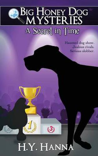 Cover image for A Secret in Time