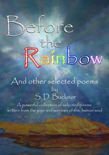 Cover image for Before the Rainbow