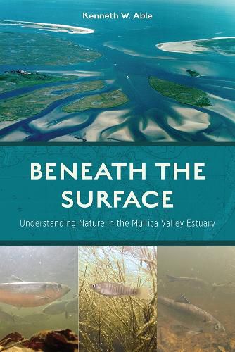 Cover image for Beneath the Surface: Understanding Nature in the Mullica Valley Estuary