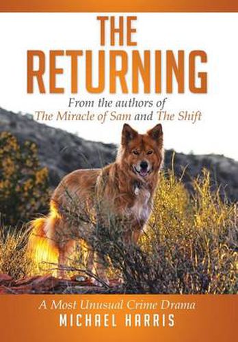 Cover image for The Returning: A Most Unusual Crime Drama