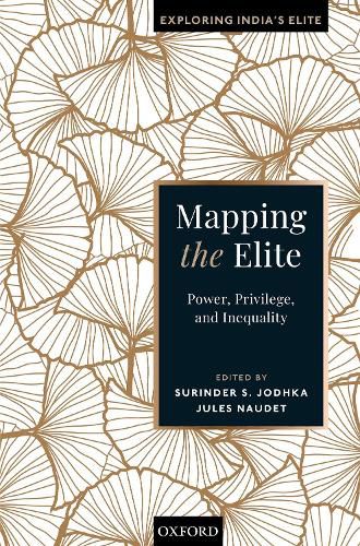 Cover image for Mapping the Elite: Power, Privilege, and Inequality