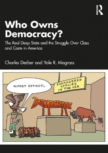 Cover image for Who Owns Democracy?