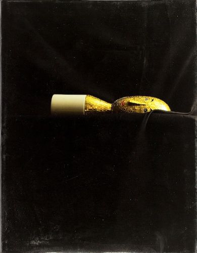 Cover image for Design Gallery Vs Design Industry