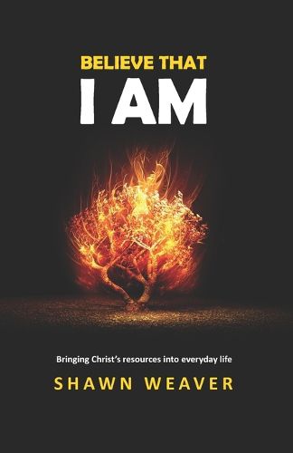 Cover image for Believe That I AM