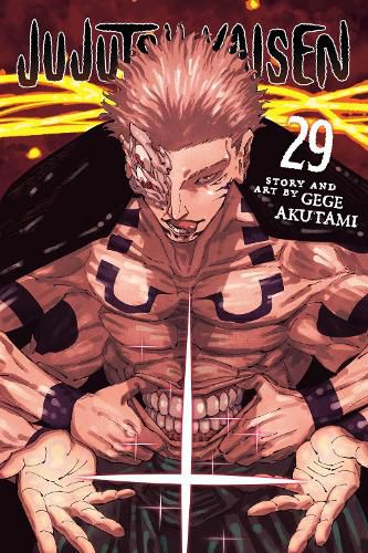 Cover image for Jujutsu Kaisen, Vol. 29