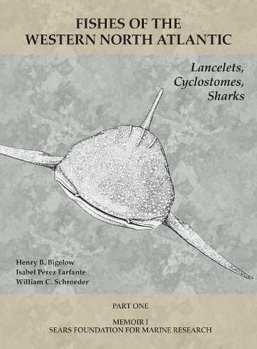 Cover image for Lancelets, Cyclostomes, Sharks: Part 1