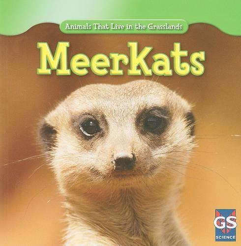 Cover image for Meerkats