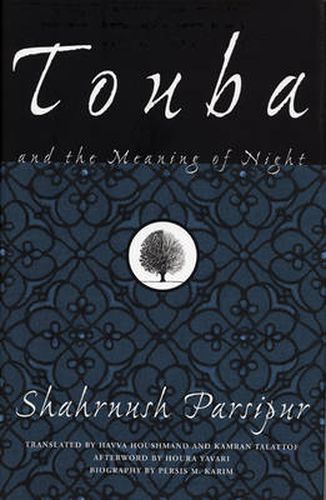 Cover image for Touba and the Meaning of Night