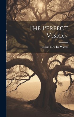 Cover image for The Perfect Vision