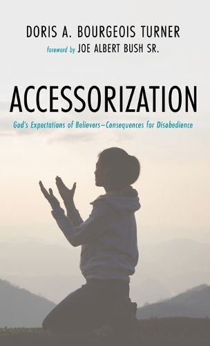 Cover image for Accessorization