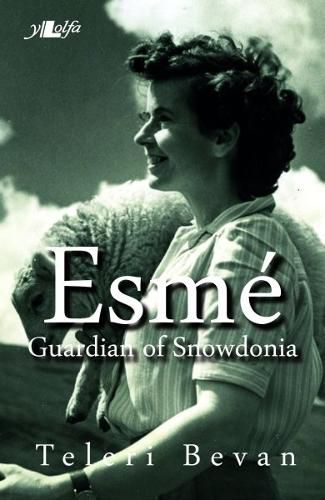 Cover image for Esme - Guardian of Snowdonia