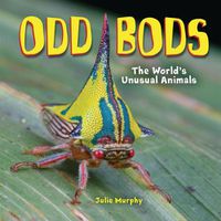 Cover image for Odd Bods: The World's Unusual Animals
