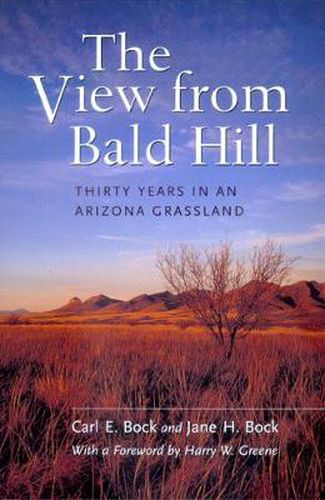 The View from Bald Hill: Thirty Years in an Arizona Grassland