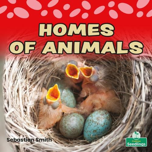 Homes of Animals