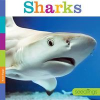 Cover image for Sharks