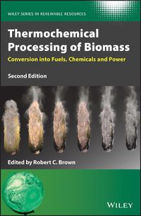 Cover image for Thermochemical Processing of Biomass - Conversion into Fuels, Chemicals and Power, 2nd Edition