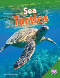 Cover image for Sea Turtles